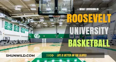 Roosevelt University Basketball: Which Division?