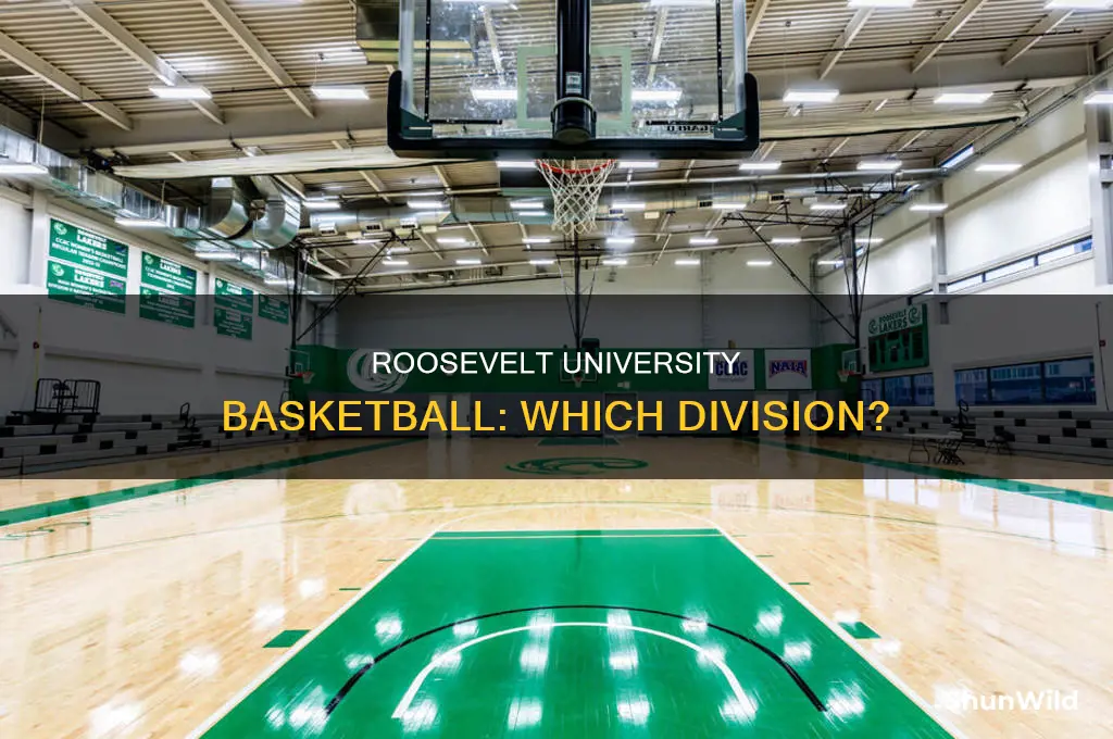 what division is roosevelt university basketball