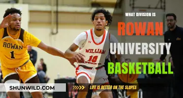 Rowan Profs: Basketball Division and History