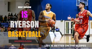 Ryerson Rams: Their Basketball Division and More