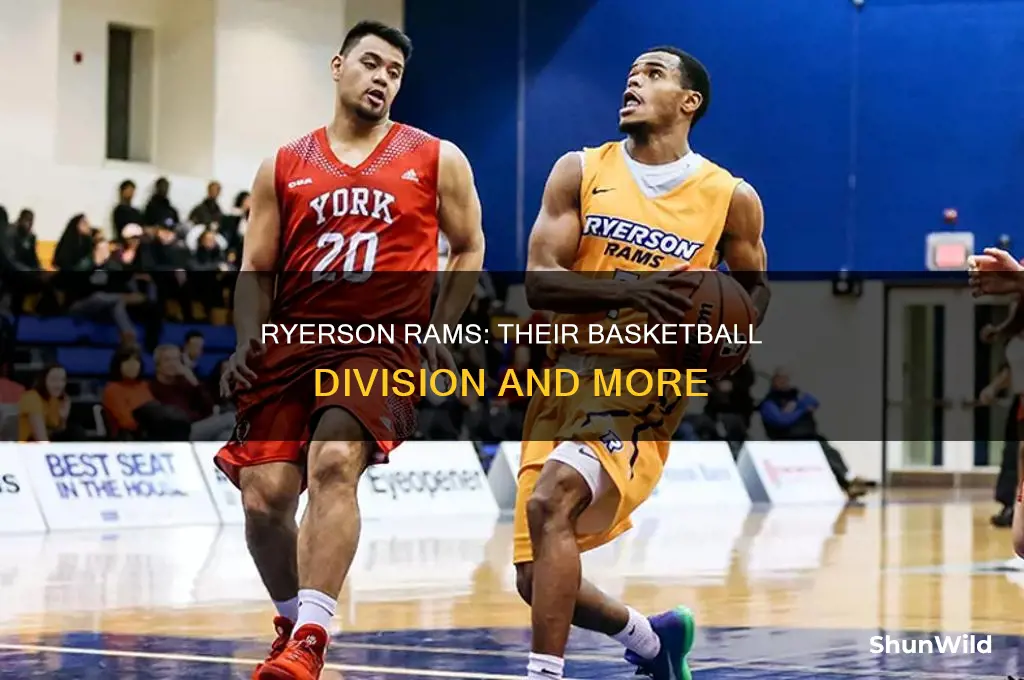what division is ryerson basketball