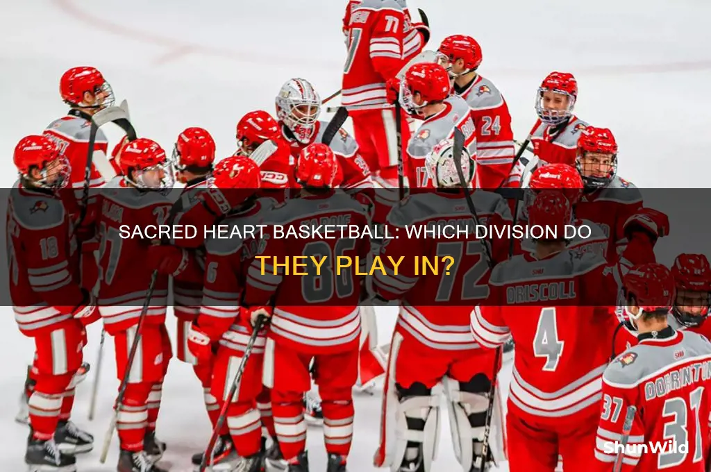 what division is sacred heart basketball