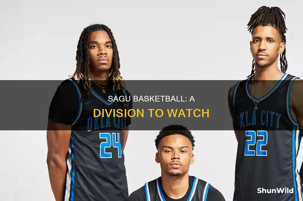 what division is sagu basketball
