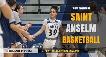 Saint Anselm Basketball: A Division to Watch Out For
