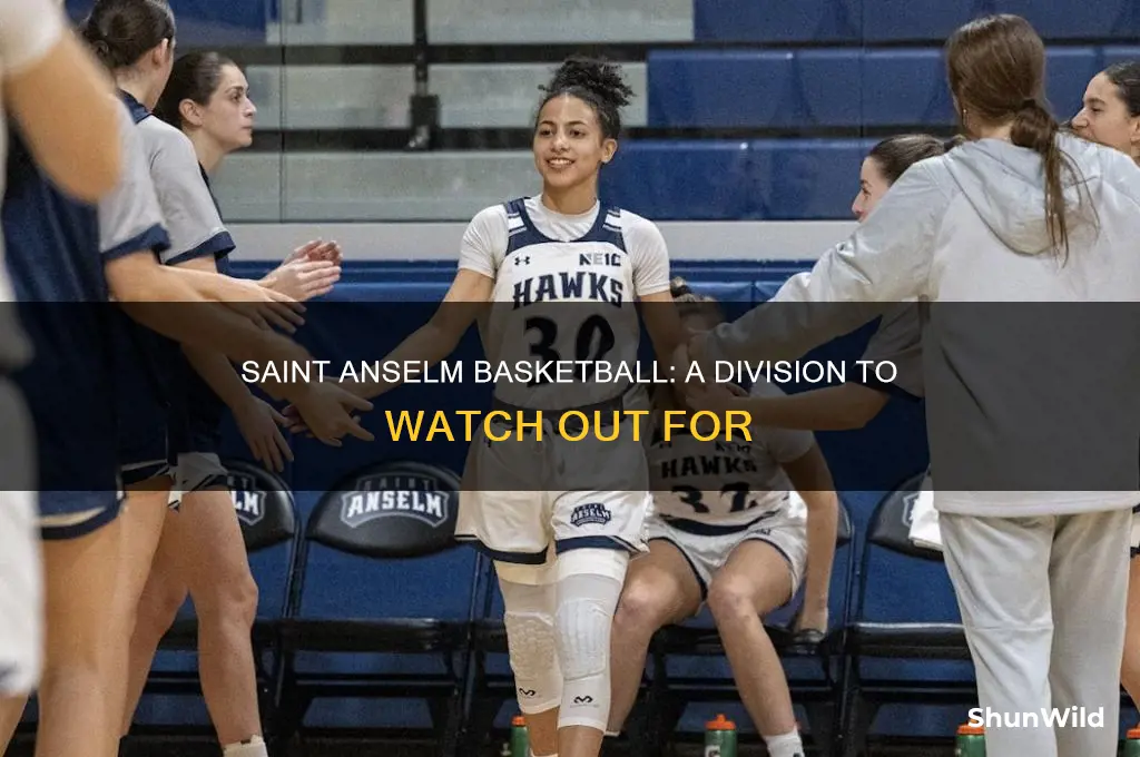 what division is saint anselm basketball