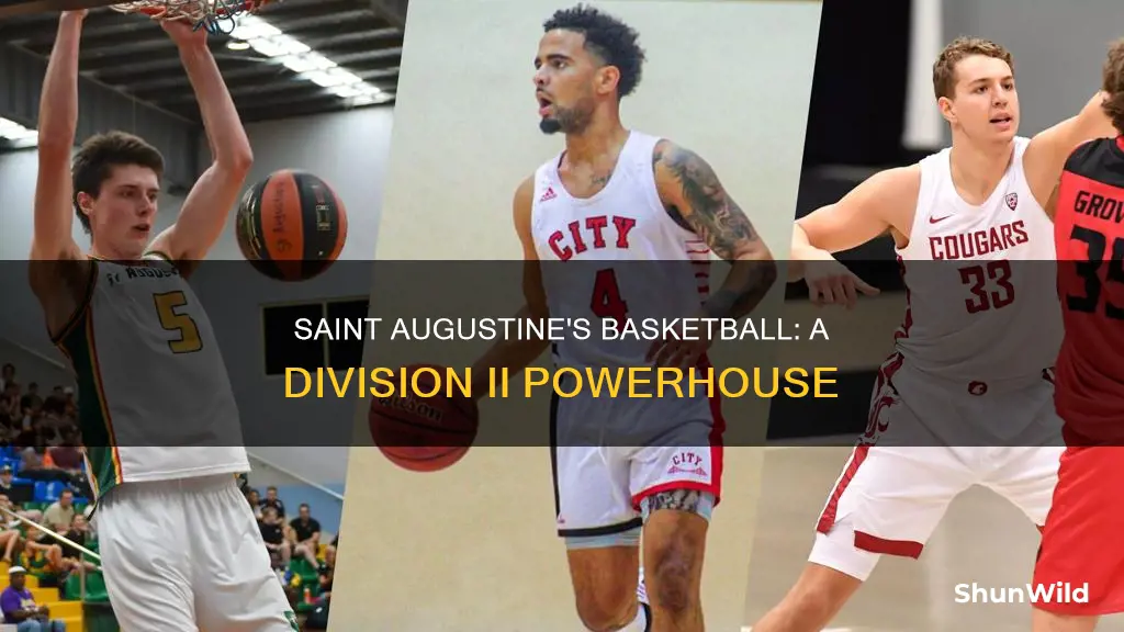what division is saint augustine