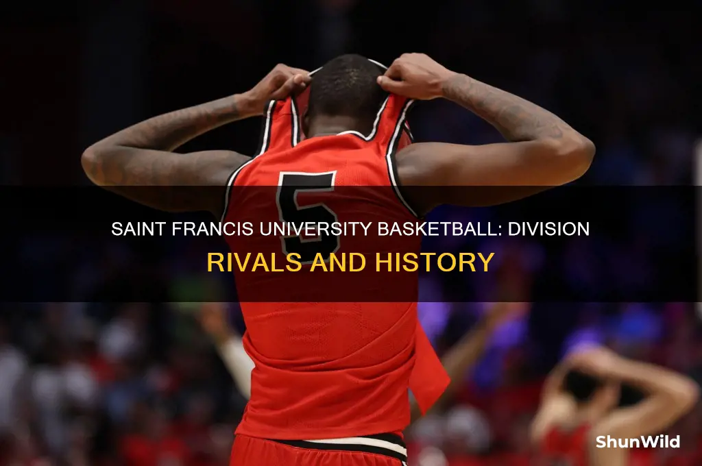what division is saint francis university basketball