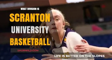 Scranton University Basketball: What Division?