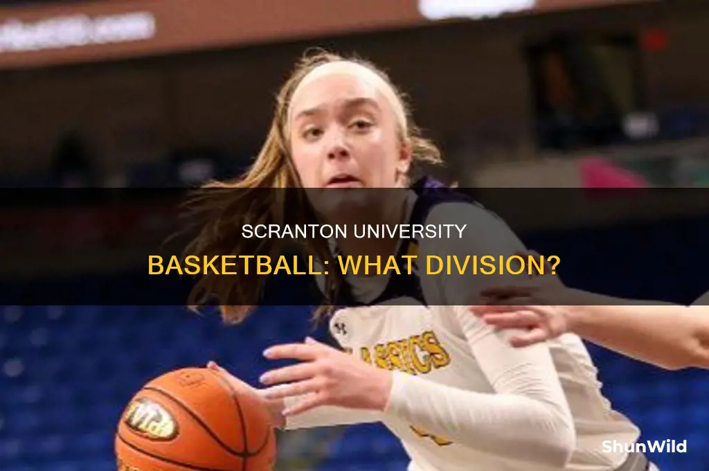 what division is scranton university basketball