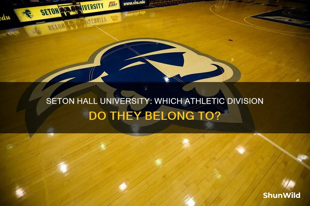 what division is seton hall university