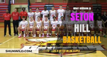 Seton Hill Basketball: A Division II Powerhouse