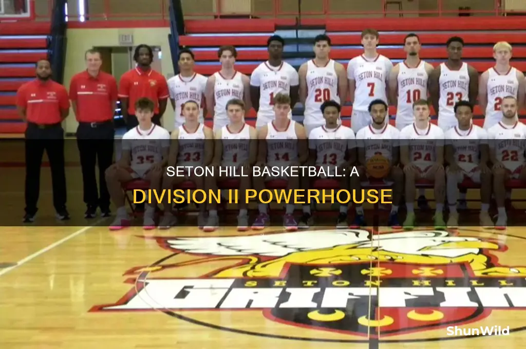 what division is seton hill basketball