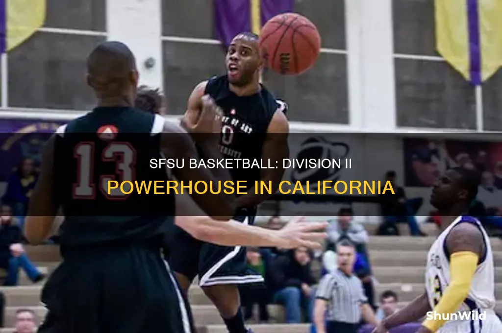 what division is sfsu basketball