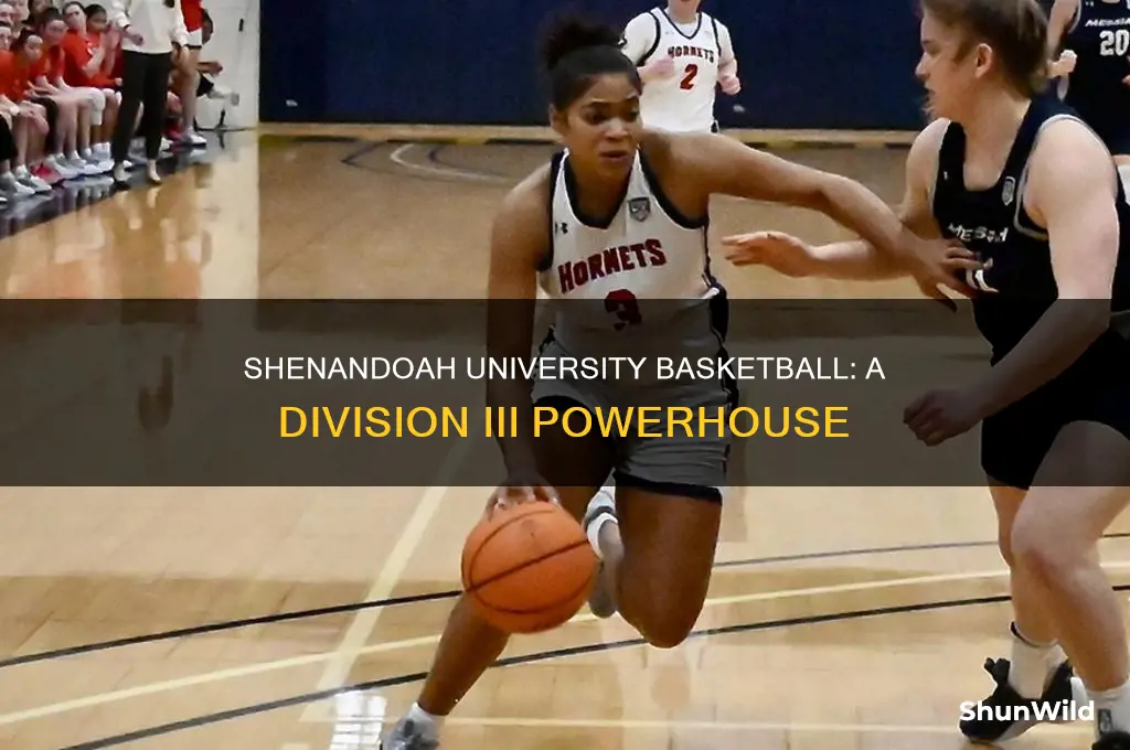 what division is shenandoah university basketball