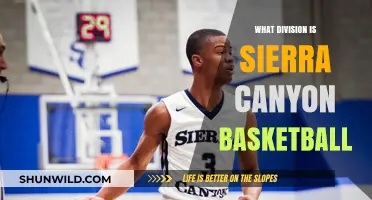 Sierra Canyon Basketball: What Division Do They Play In?