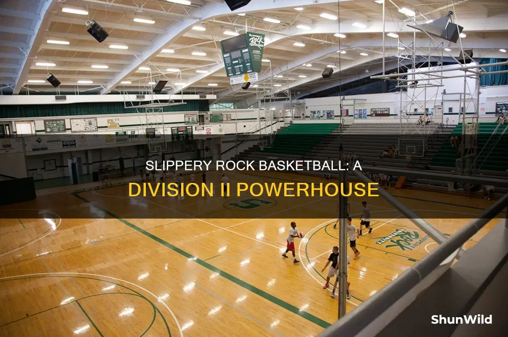what division is slippery rock basketball
