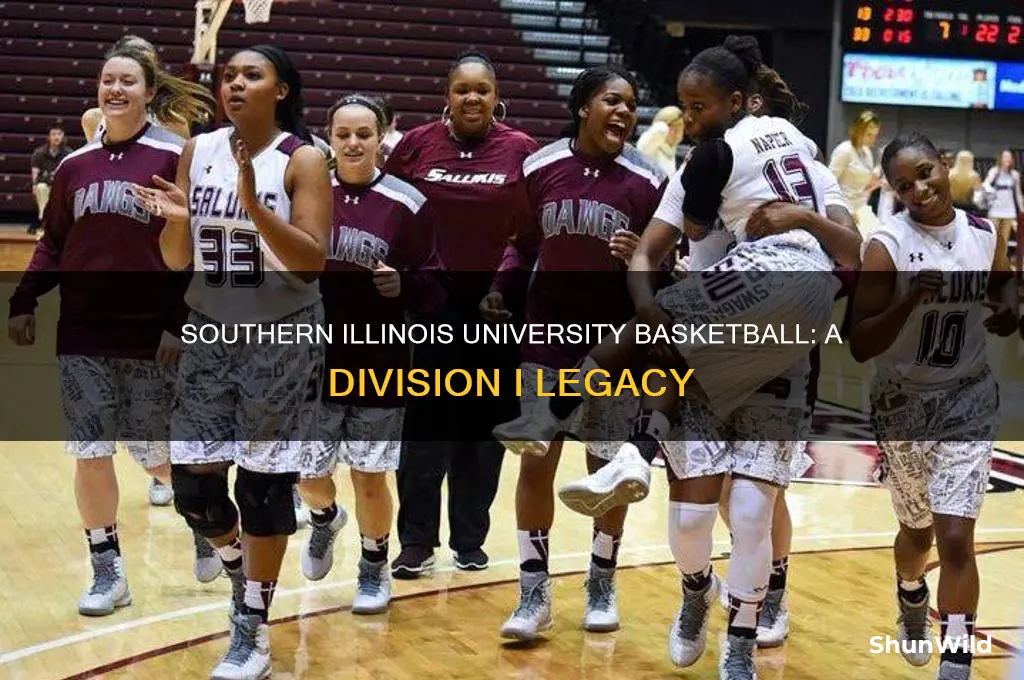 what division is southern illinois university basketball