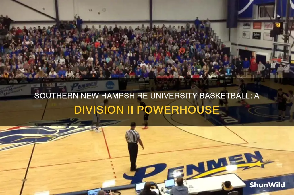 what division is southern new hampshire university basketball