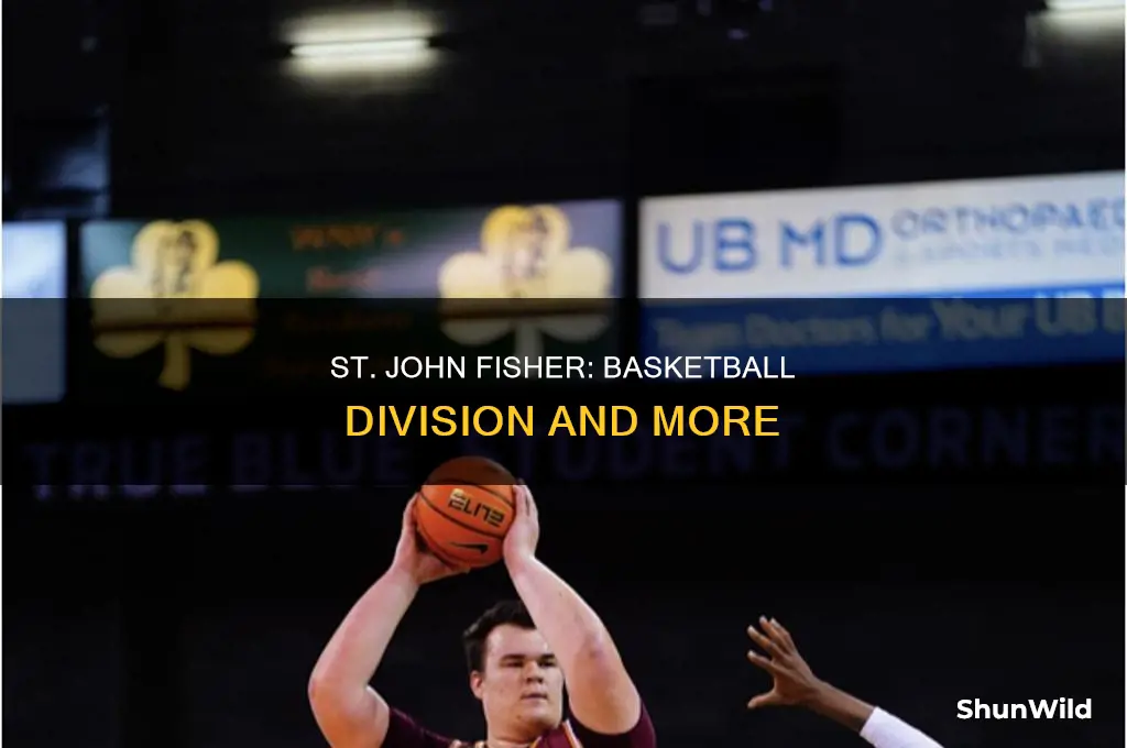 what division is st john fisher basketball