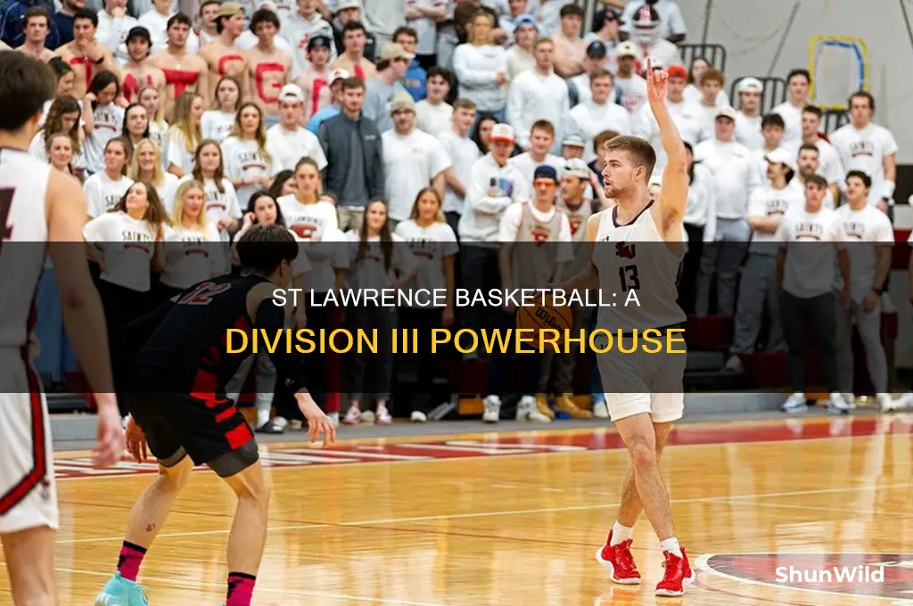 what division is st lawrence basketball