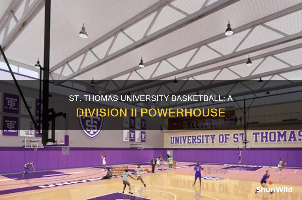 what division is st thomas university basketball