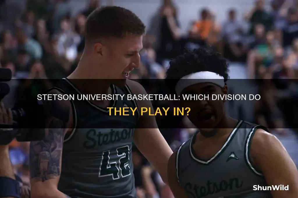 what division is stetson university basketball