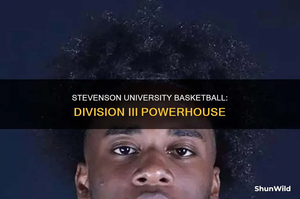 what division is stevenson university basketball