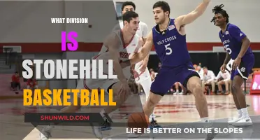 Stonehill Basketball: Division II Powerhouse?