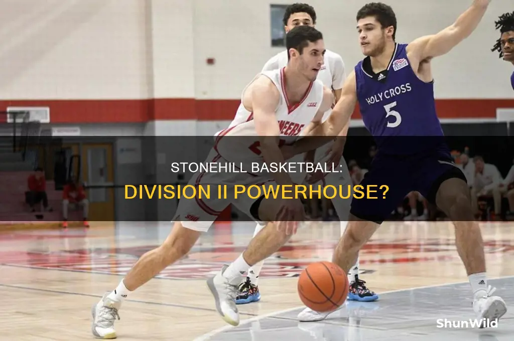 what division is stonehill basketball