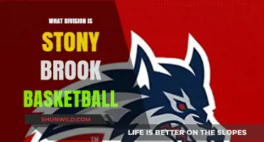 Stony Brook Basketball: Division I Status and Beyond