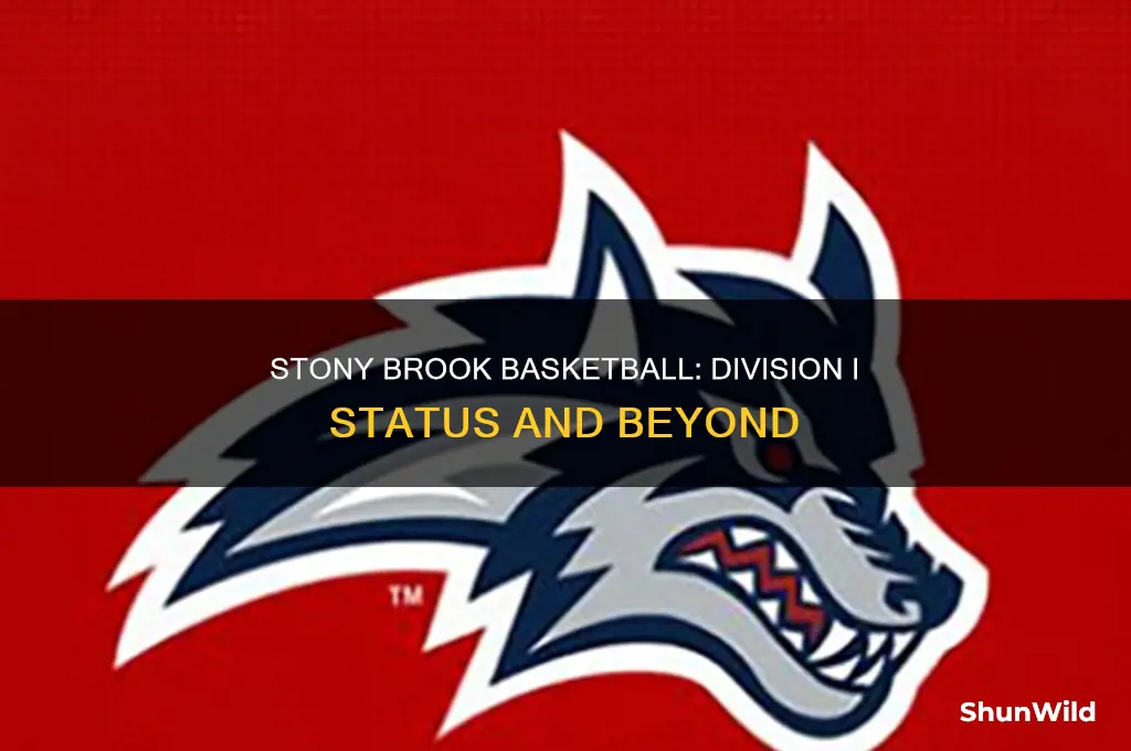 what division is stony brook basketball