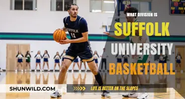 Suffolk Rams: Basketball Division Status