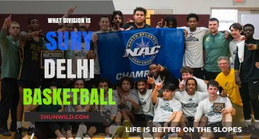 Delhi Broncos Basketball: A Division III Powerhouse