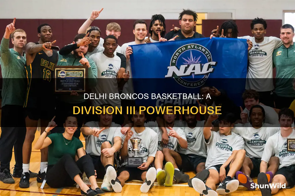 what division is suny delhi basketball