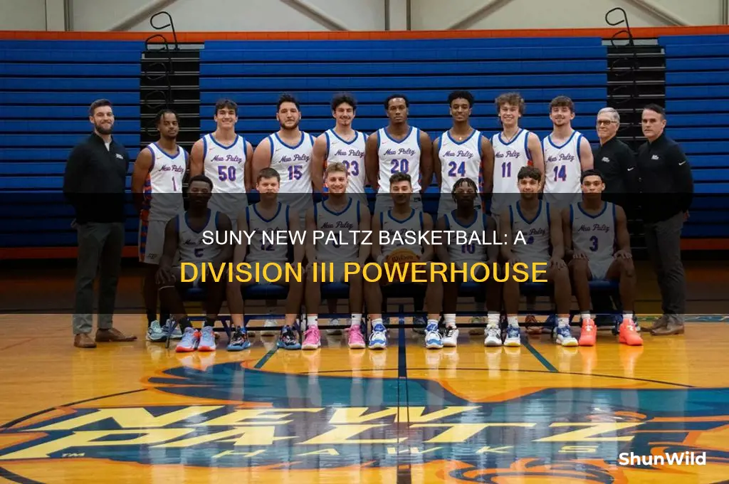what division is suny new paltz basketball