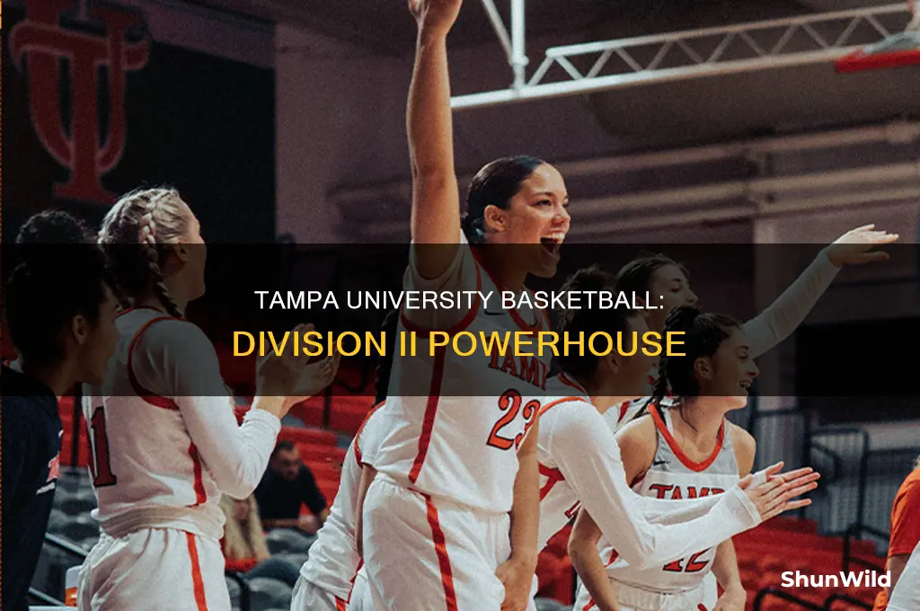 what division is tampa university basketball