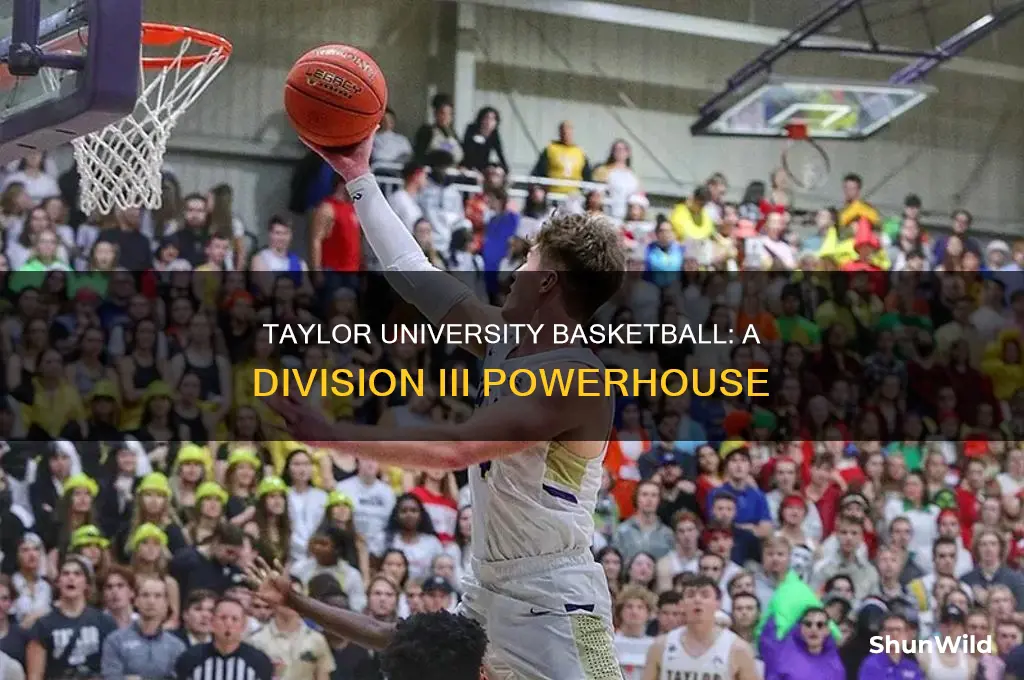 what division is taylor university basketball