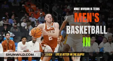 Texas Men's Basketball: Which Division Do They Dominate?