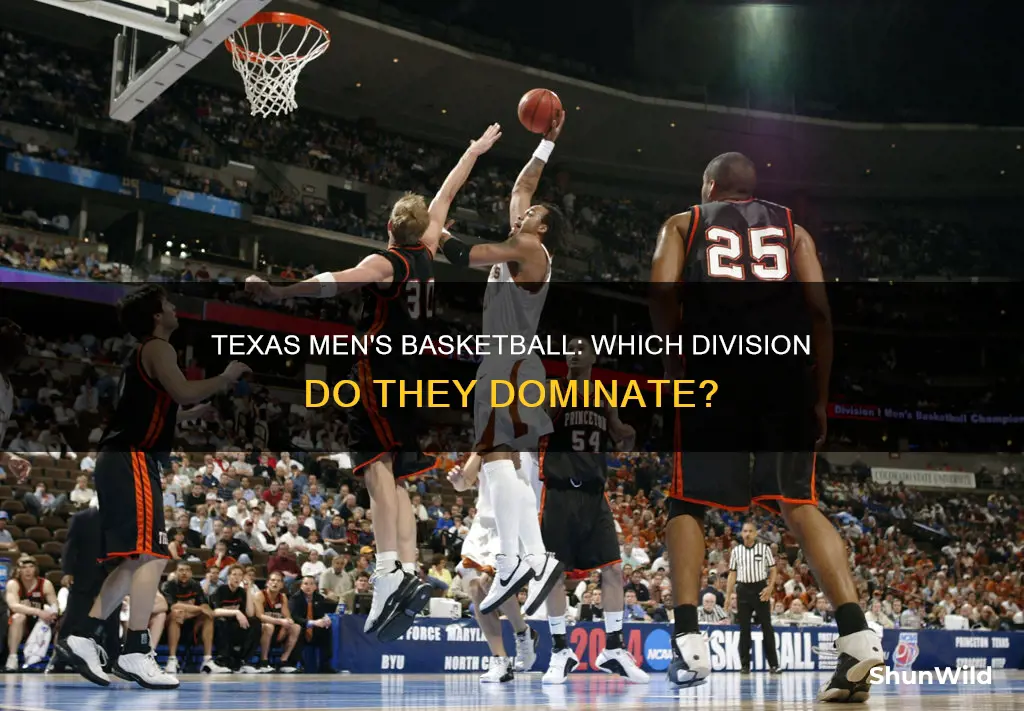 what division is texas men