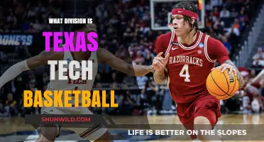 Texas Tech Basketball: Division I Powerhouse