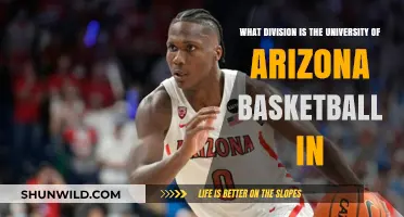 Arizona Basketball: What Division Do They Play In?