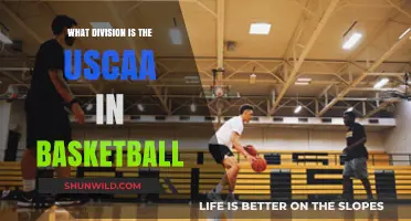 USCAA Basketball: What Division Does It Fall Under?
