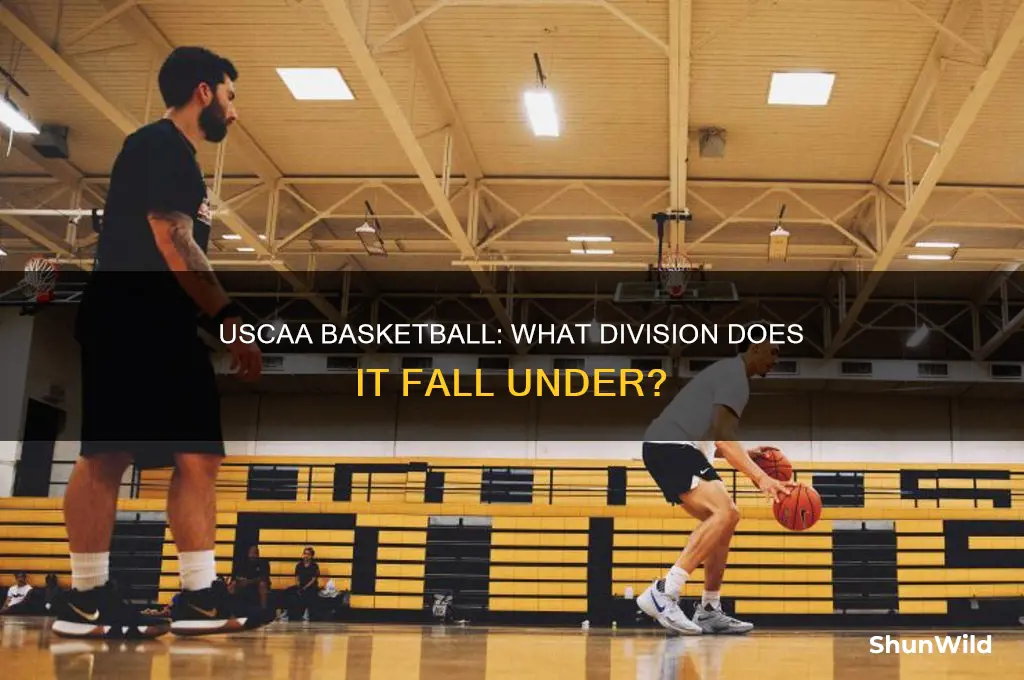 what division is the uscaa in basketball
