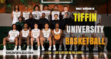 Tiffin University Basketball: A Division II Powerhouse