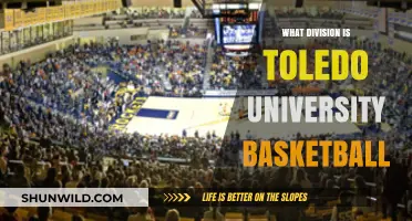 Toledo Rockets: Basketball Division Explored