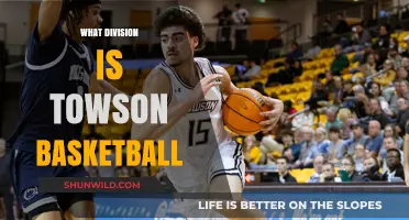 Towson Basketball: A Division I Legacy