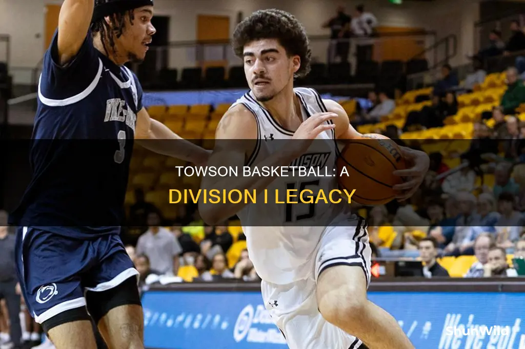 what division is towson basketball
