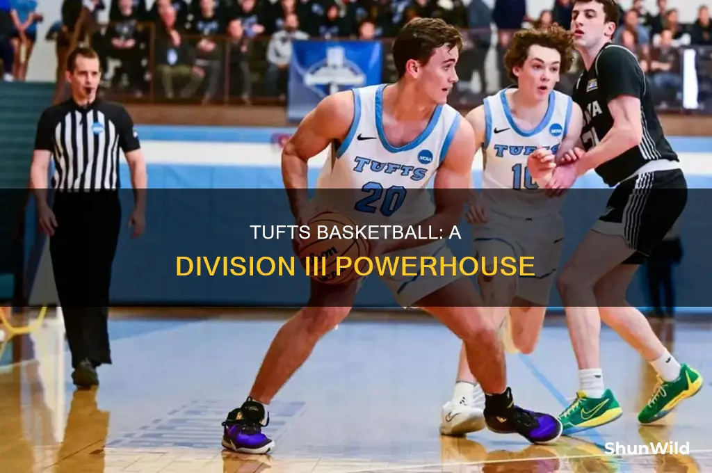 what division is tufts basketball