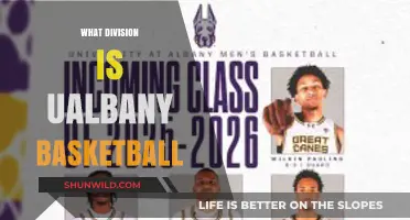 UAlbany Basketball: Division I Powerhouse in the Making