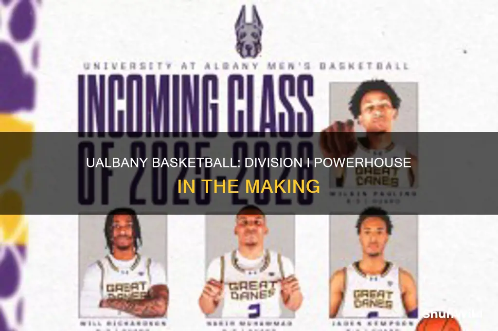 what division is ualbany basketball